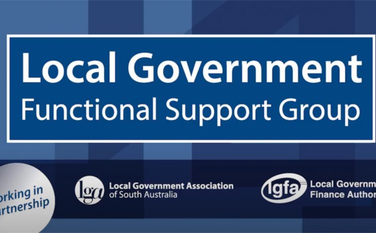 LGFA Support for the LGFSG
